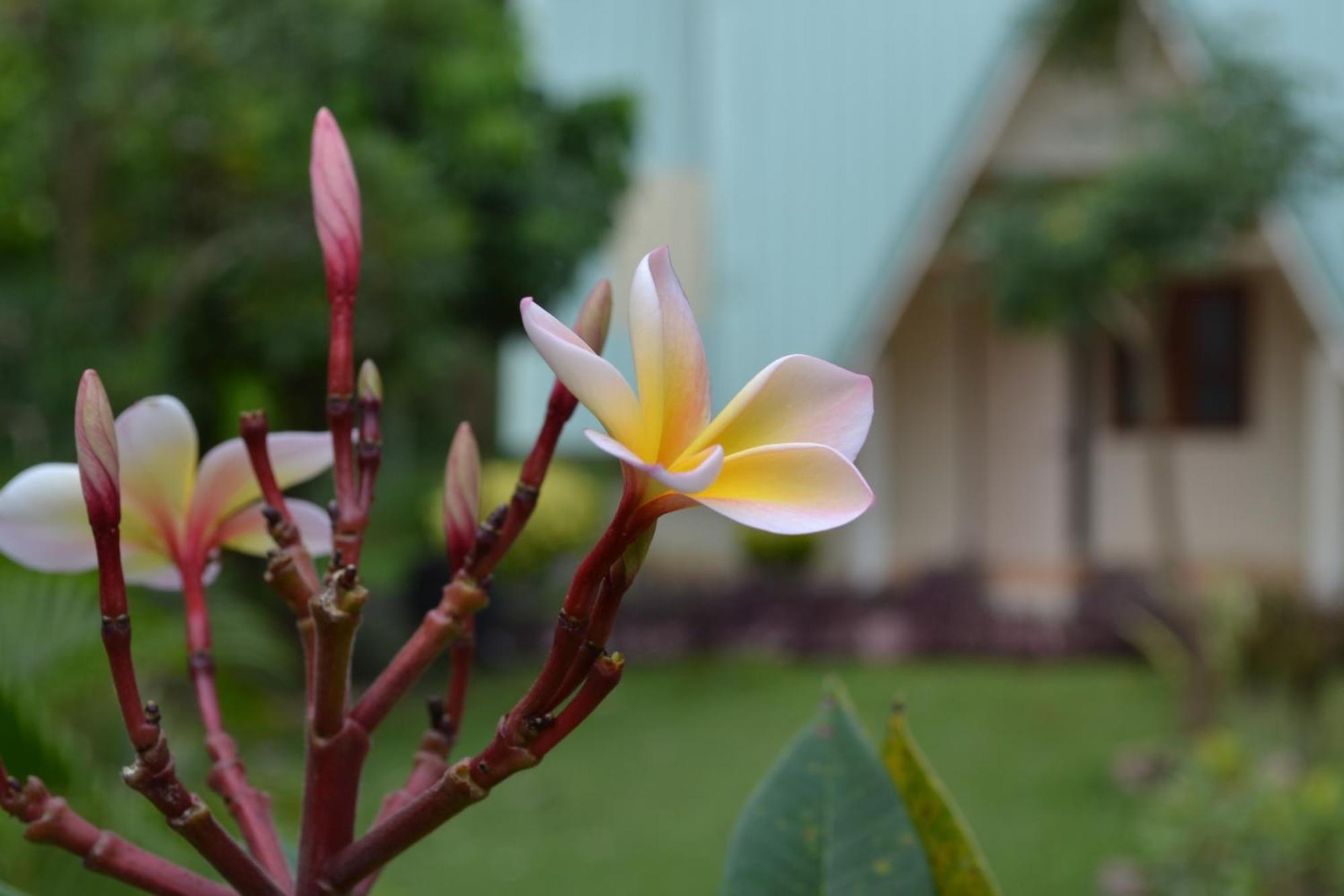 Touch Star Resort - Doi Inthanon Csomthong Kültér fotó